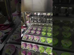 CO2 Fly Laser Marking Machine 30W 40W 60W For Electronics / Pharmaceuticals